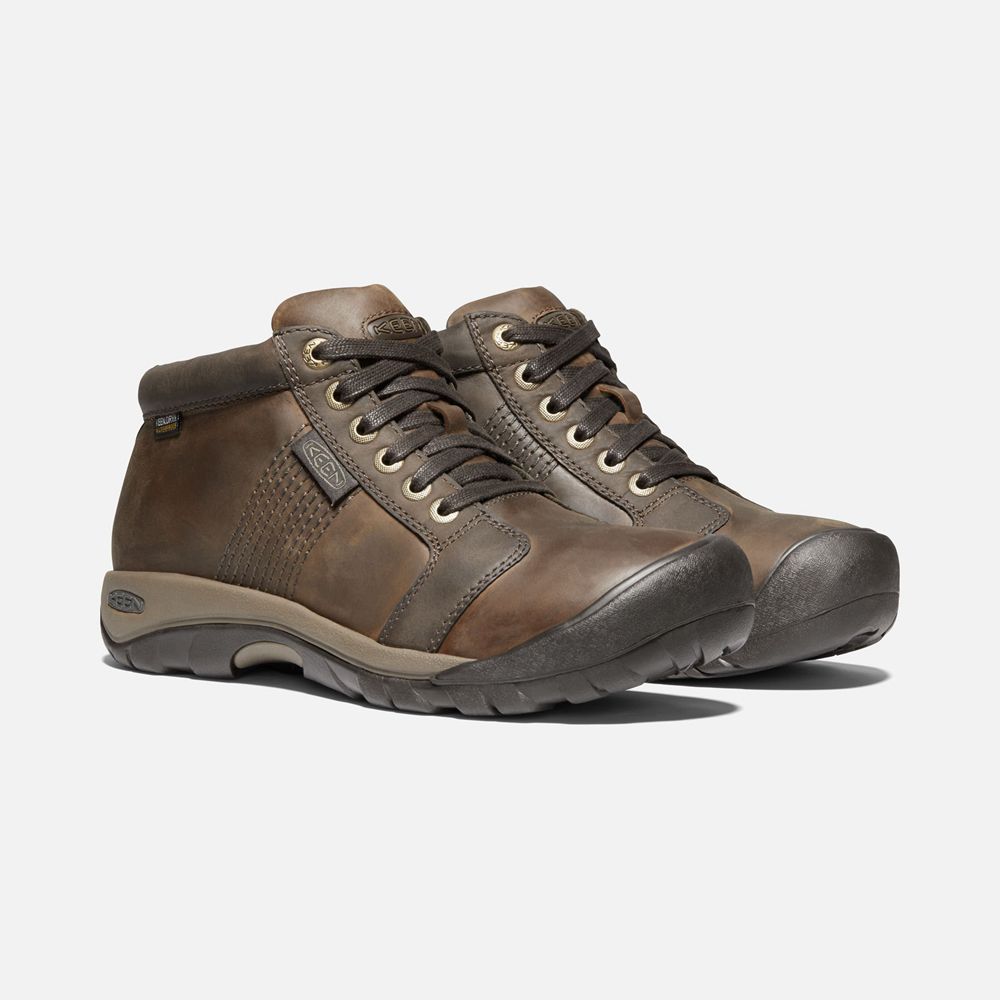 Bottes de Baskets Keen Homme Marron | Austin Waterproof | JHZBF-1968